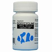 Image result for Aquarium Doxycycline