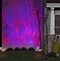 Image result for Halloween Hologram Projector