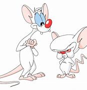 Image result for Pinky and the Brain Rust Meme