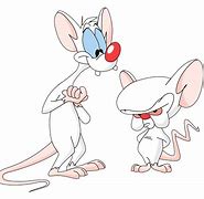 Image result for Pinky and the Brain Desktop