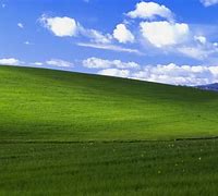 Image result for 1440P Windows Wallpaper