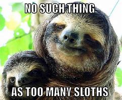 Image result for Happy Sloth Meme
