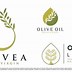 Image result for Olive Tree Logo