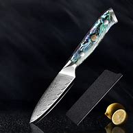 Image result for Abalone Knife