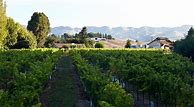 Image result for Claiborne Churchill Chardonnay