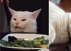 Image result for White Cat Meme Face