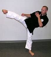 Image result for Karate Side Kick