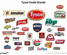 Image result for Tyson Brands