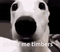 Image result for Shiver Me Timbers Dog Meme