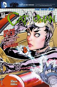 Image result for Catwoman Comic Book