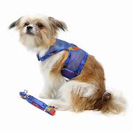 Image result for Cool Dog Harness