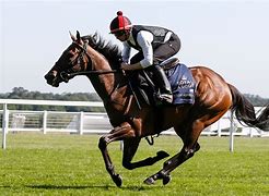 Image result for Royal Ascot Horse Racing