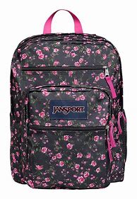 Image result for JanSport Big Student Backpack Pink