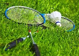 Image result for Badminton Back Yard