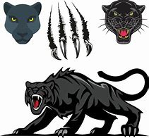 Image result for Panther Walking towards You