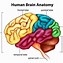 Image result for Episodic Memory