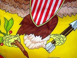 Image result for Rough riders Flag