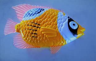 Image result for Funny Fish Stock Image