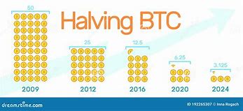 Image result for Bitcoin Halving Peak 2024