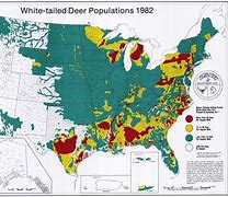 Image result for Whitetail Deer Range