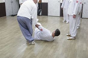 Image result for Martial Arts Moves