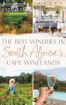 Image result for Cape Winelands South Africa