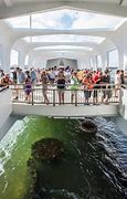 Image result for Arizona Pearl Harbor Memoroal