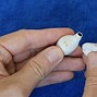 Image result for Clean EarPods