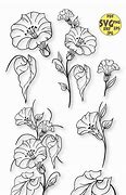 Image result for Morning Glory and Aster Flower SVG