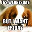 Image result for Wednesday at Work Funny Meme