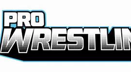 Image result for Women's Pro Wrestling Logo