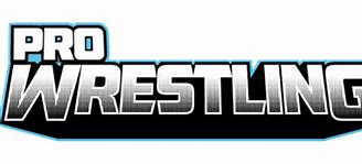 Image result for All Pro Wrestling Logo