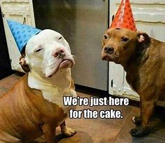 Image result for Big Dog Birthday Meme