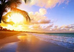 Image result for Beach Nature Wallpaper