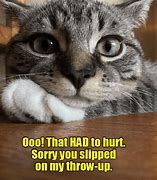 Image result for Lolcats Funny
