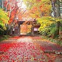 Image result for Japanese Nature