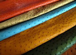 Image result for Ostrich Leather Products