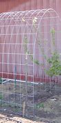 Image result for How to Make a Grape Vine Trellis