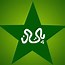 Image result for Australian Cricket Logo