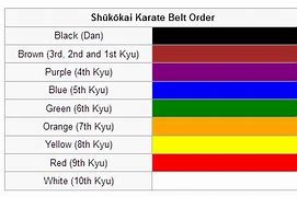 Image result for Different Types of Karate