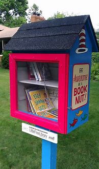 Image result for Little Library Boxes