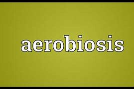 Image result for aerobiisis