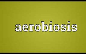 Image result for ae4obiosis