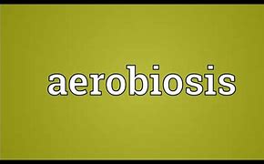 Image result for aerobiozis