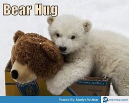 Image result for Teddy Bear Hug Meme