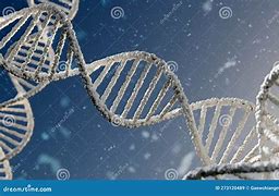 Image result for Chemical Genetics