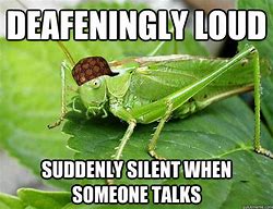 Image result for Crickets Deadly Quiet Funny Meme
