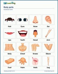 Image result for Body Parts Vocabulary Worksheet