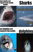 Image result for Dolphin Dive Meme