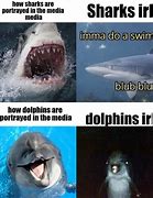 Image result for How It Feels to Dolphin Meme